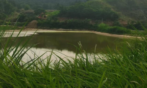 梅梓山村发展路上的难题：水库保护与项目建设的协调之盼